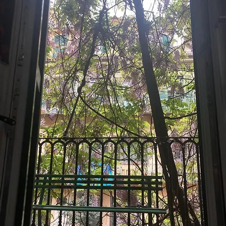 Ai Piedi Della Mole * Turin